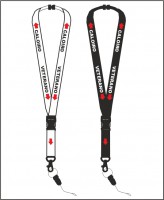 Caloiro ou Veterano?